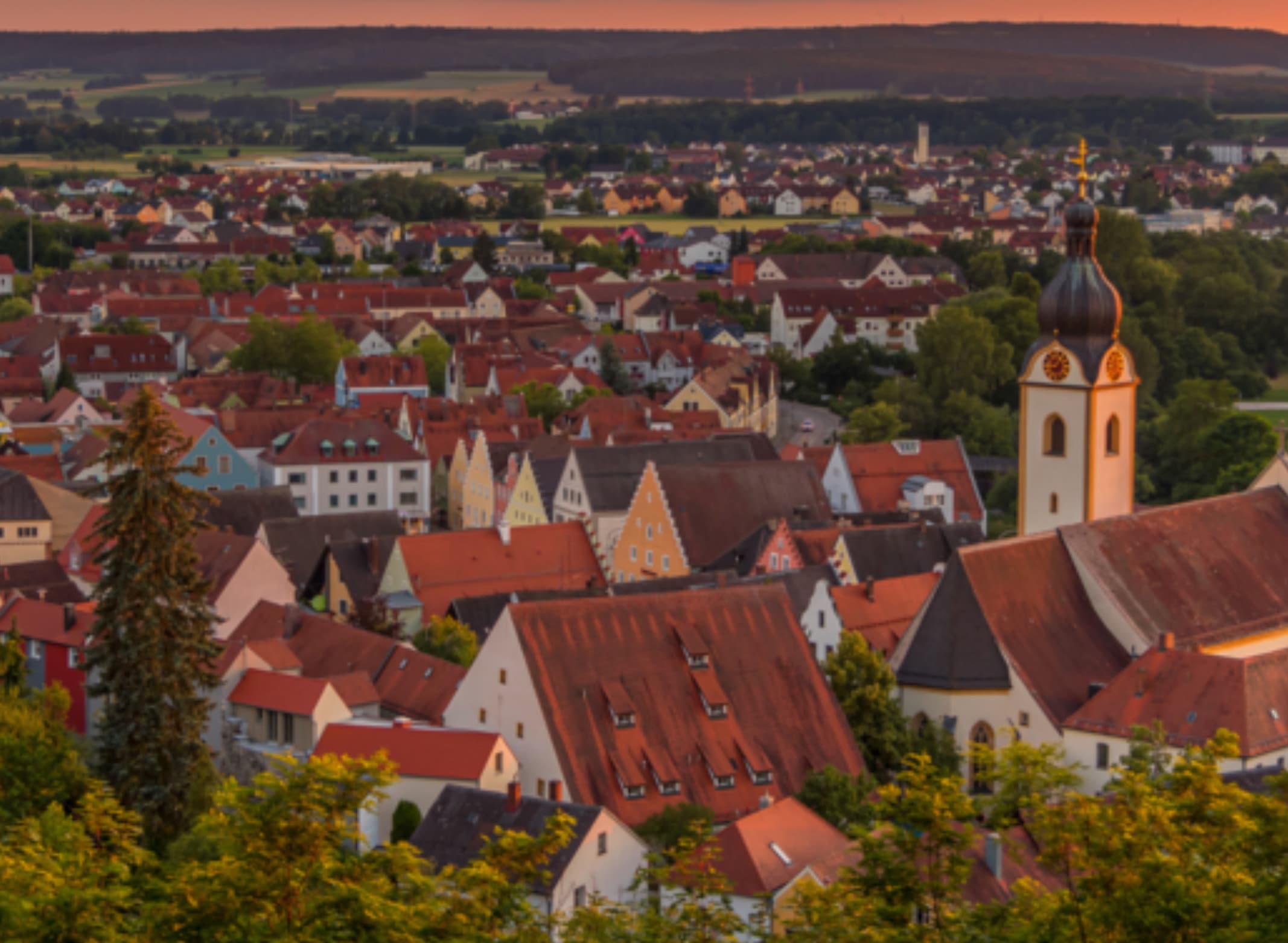 Schädlingsbekämpfung für Industrieunternehmen, Landwirtschaft, kommunale Einrichtungen, Schulen und Gewerbebetriebe im Landkreis Schwandorf.